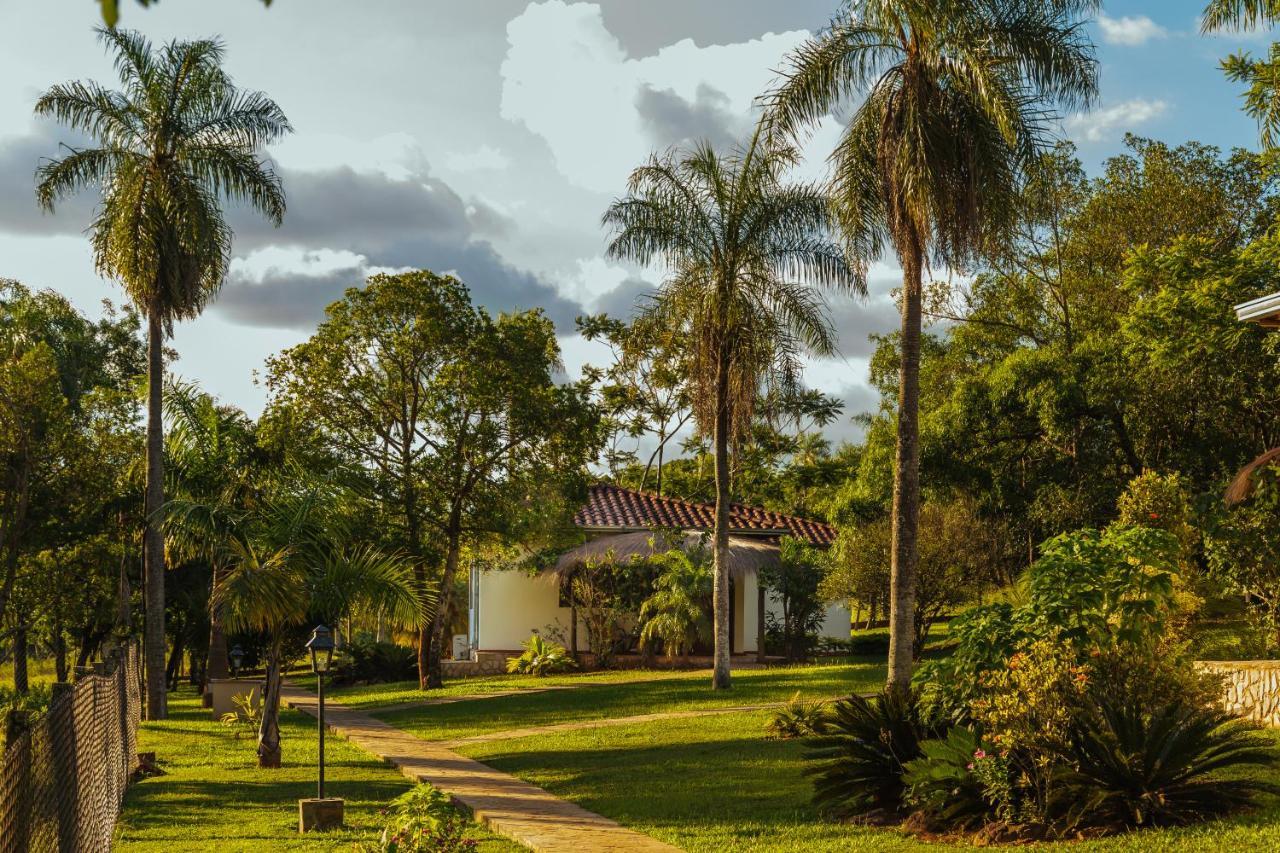 Mbuni Granja De Avestruz Hotel & Restaurant Nueva Colombia Exteriör bild